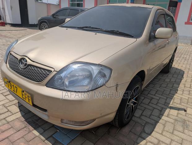 Toyota Corolla RunX 2006 Gold