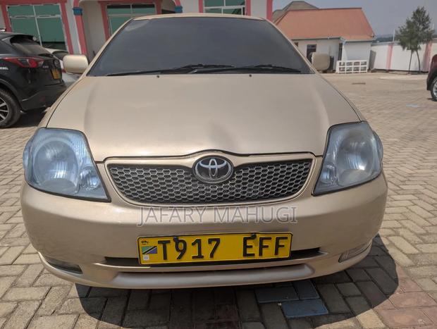 Toyota Corolla RunX 2006 Gold