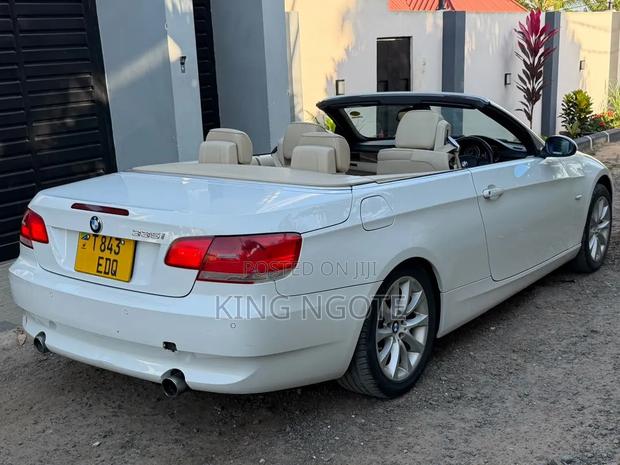 BMW 3 Series 2010 White