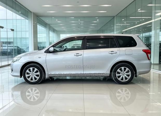 Toyota Corolla Fielder 2010 Silver