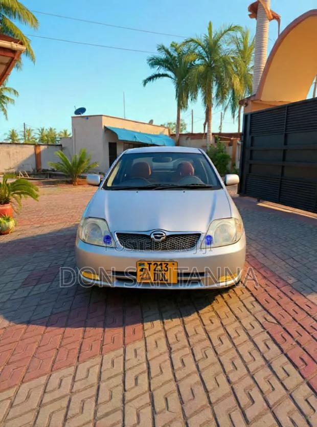 Toyota Allex 2001 Silver
