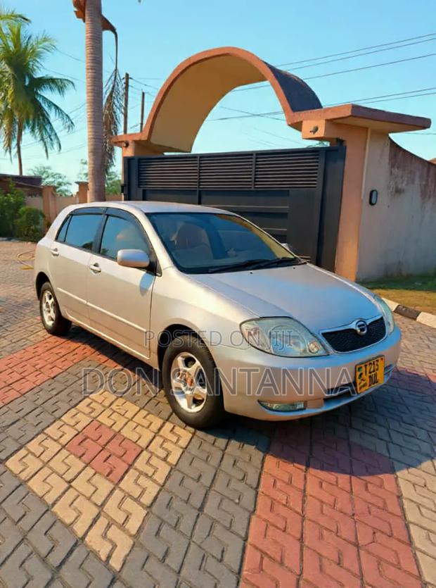 Toyota Allex 2001 Silver