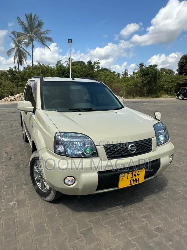 Nissan X-Trail 2005 Ivory
