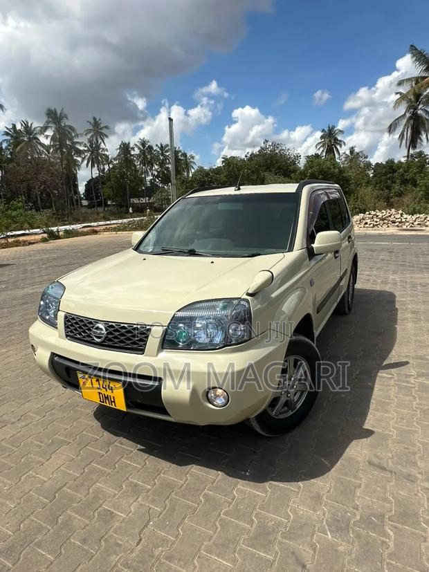 Nissan X-Trail 2005 Ivory