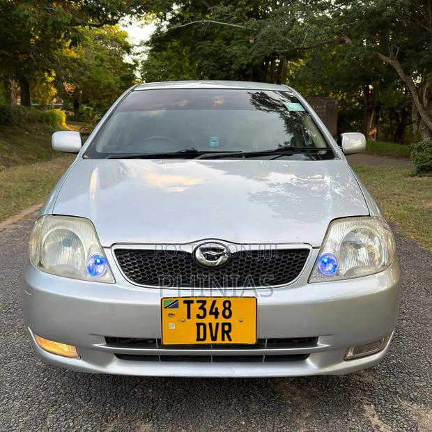 Toyota Corolla RunX 2004 Silver