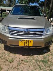 Subaru Forester 2009 Gold for sale