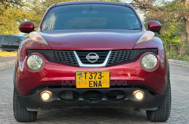 Nissan Juke 2011 Maroon
