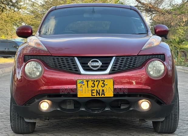 Nissan Juke 2011 Maroon