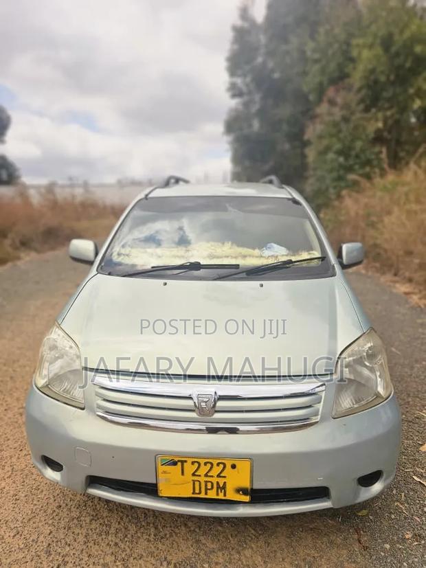 Toyota Raum 2009 Silver