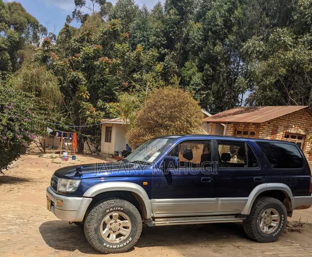 OMAA H5 2010 Blue