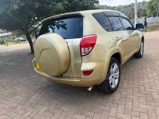 Toyota RAV4 2009 Gold