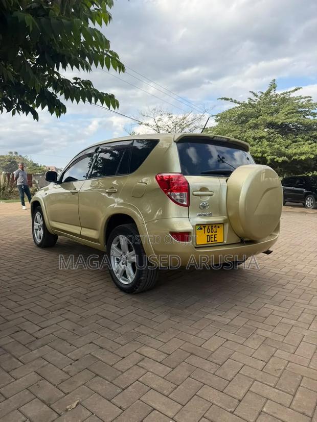 Toyota RAV4 2009 Gold