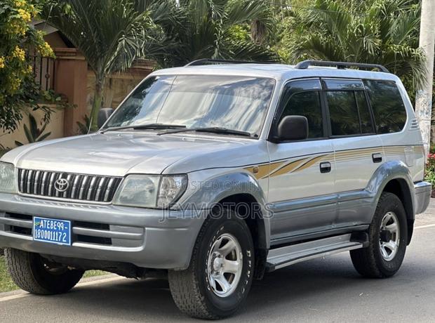 Toyota Land Cruiser Prado 2007 Silver