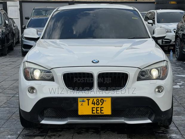 BMW X1 2010 Pearl