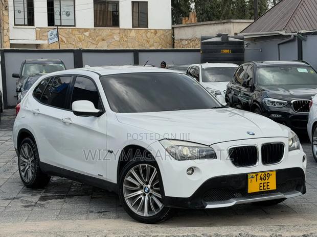 BMW X1 2010 Pearl