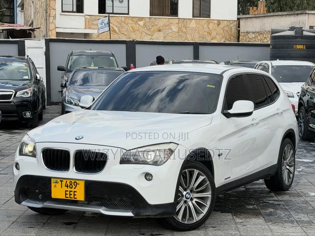 BMW X1 2010 Pearl