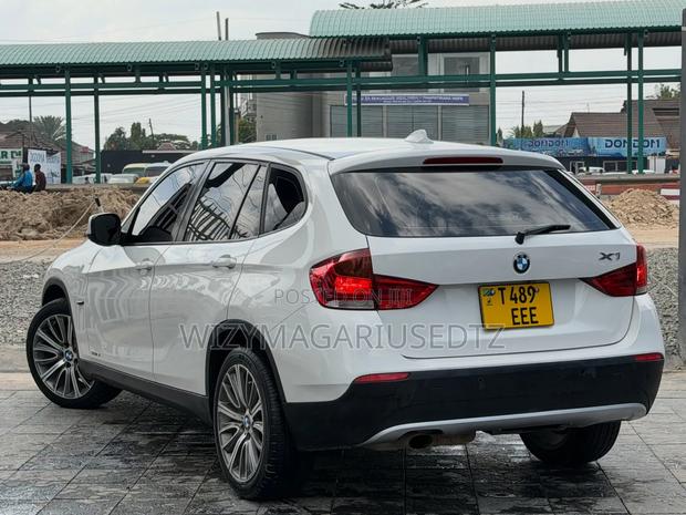BMW X1 2010 Pearl