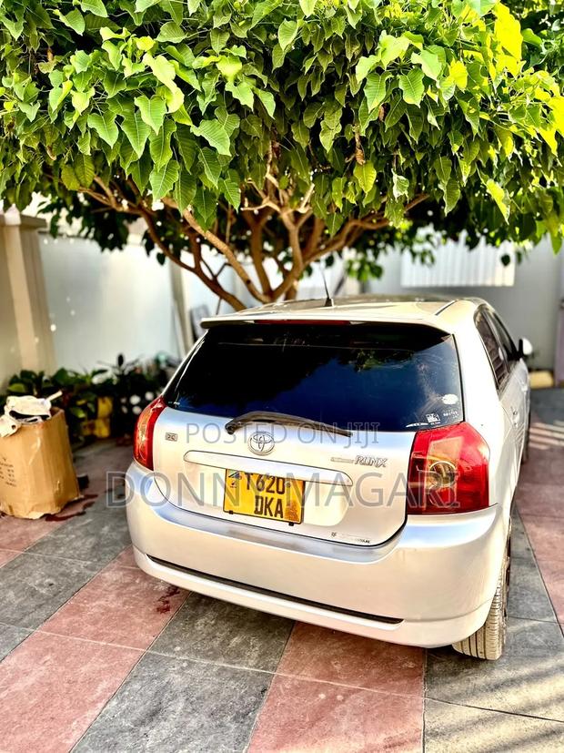 Toyota Corolla RunX 2006 Silver