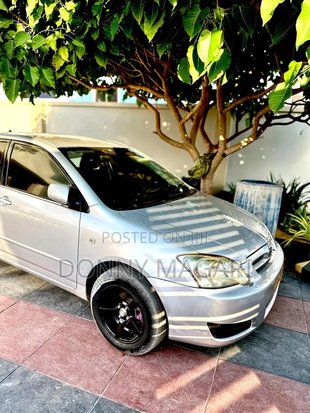 Toyota Corolla RunX 2006 Silver