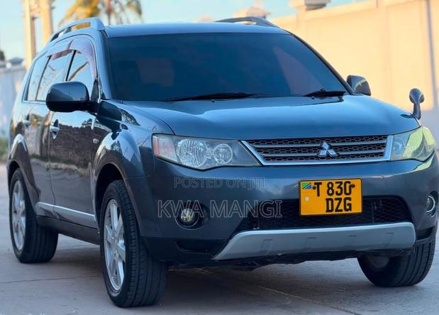Mitsubishi Outlander 2007 Gray