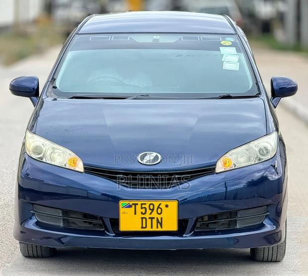 Toyota Wish 2009 Blue