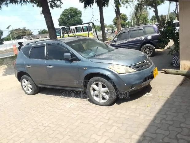 Nissan Murano 2005 Gray
