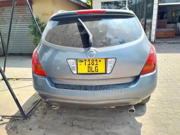 Nissan Murano 2005 Gray