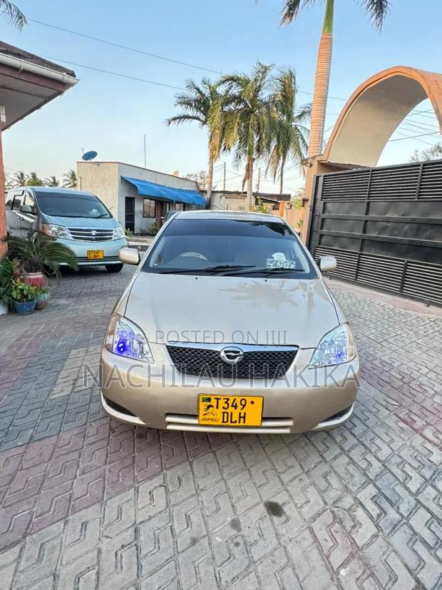 Toyota Allex 2001 Gold