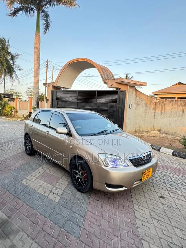 Toyota Allex 2001 Gold