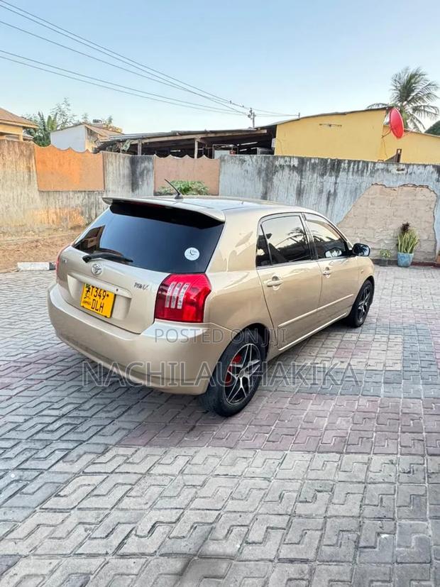 Toyota Allex 2001 Gold