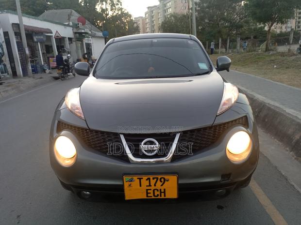 Nissan Juke 2013 Gray