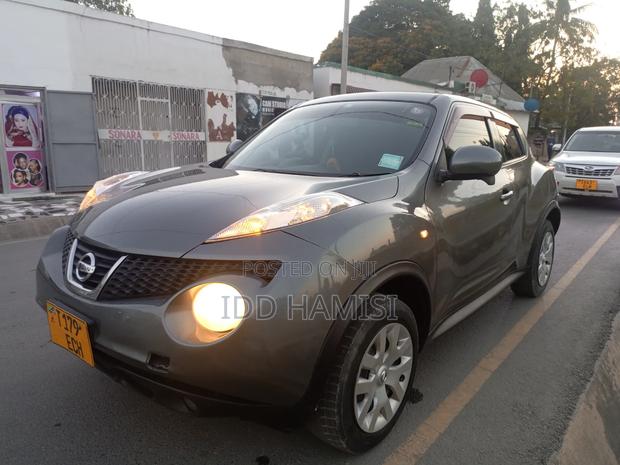 Nissan Juke 2013 Gray