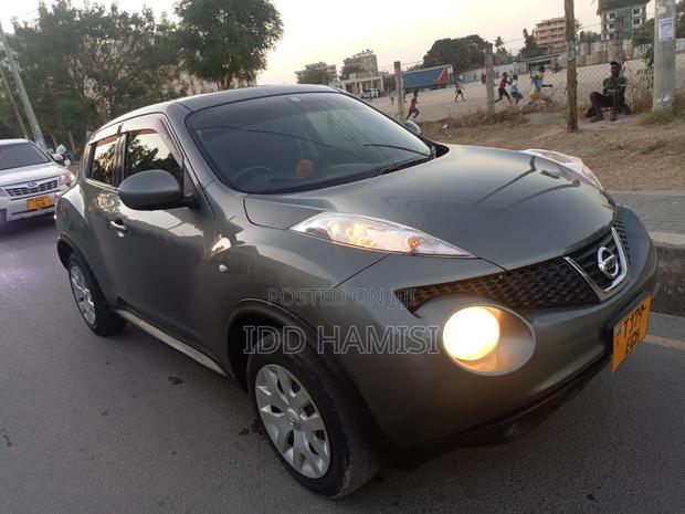 Nissan Juke 2013 Gray