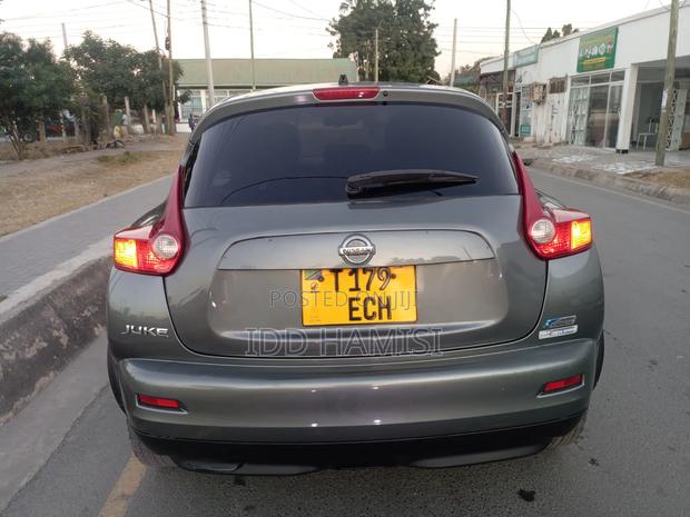 Nissan Juke 2013 Gray