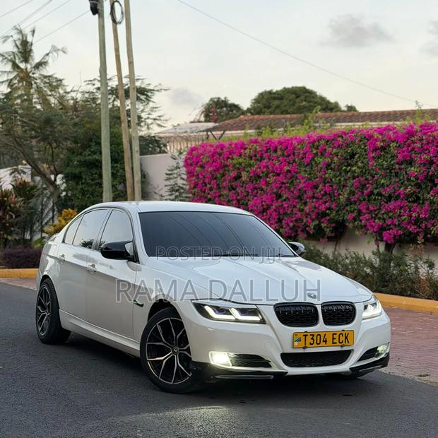 BMW 3 Series 2009 White