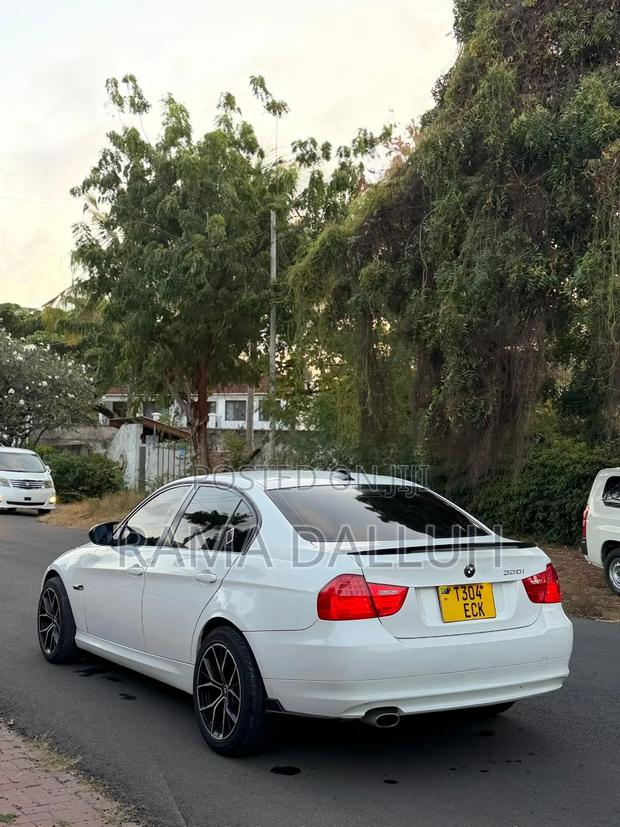 BMW 3 Series 2009 White