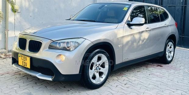 BMW X1 2010 Beige