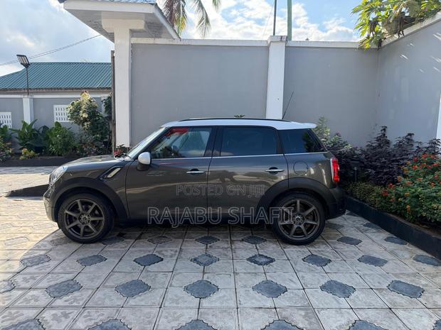 Mini Countryman 2011 Gray