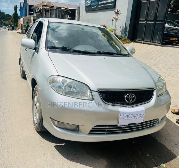 Toyota Vios 2003 Gray