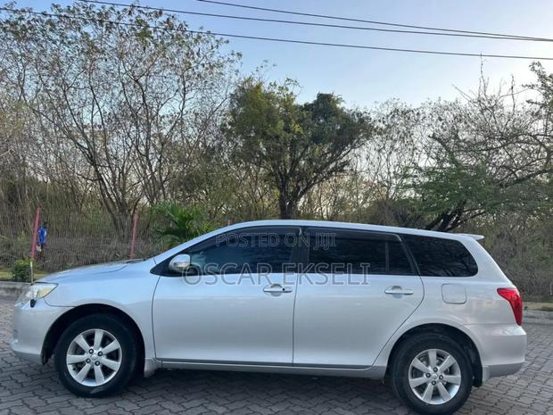 Toyota Corolla Fielder 2009 Silver