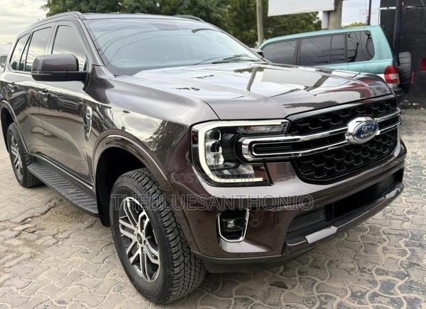 Ford Everest 2024 Gray