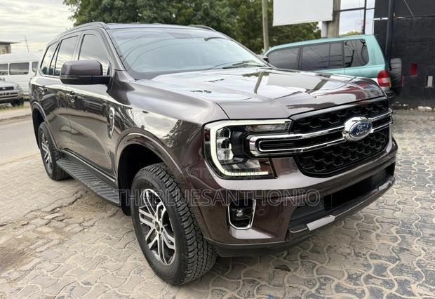Ford Everest 2024 Gray