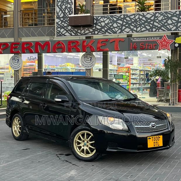 Toyota Corolla Fielder 2007 Black