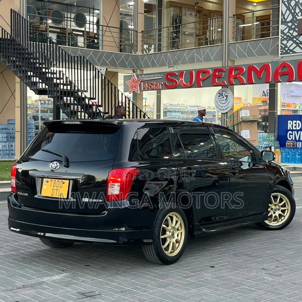 Toyota Corolla Fielder 2007 Black