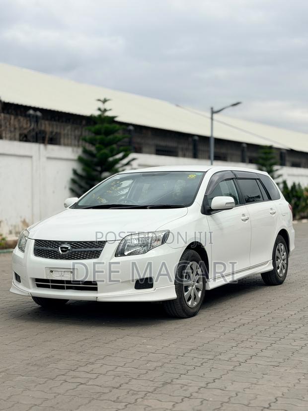 Toyota Corolla Fielder 2007 White