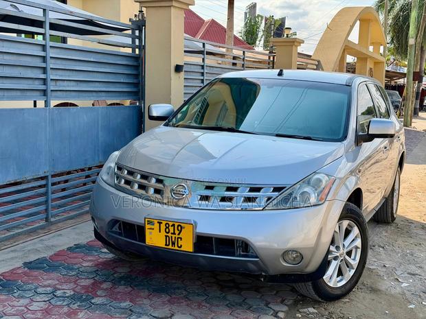 Nissan Murano 2005 Silver