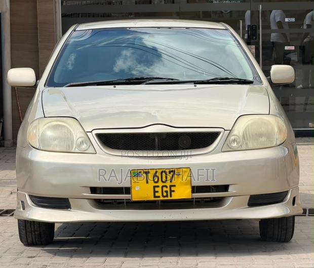 Toyota Allex 2003 Gold
